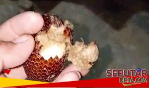 Screenshot_20260220-095519~2