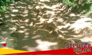 IMG-20260407-WA0057~2